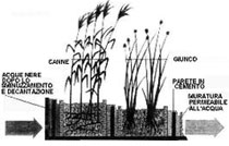 SCHEMA DI UN IMPIANTO DI FITODEPURAZIONE, da Bioarchitettura, anno II, n.45, 1995